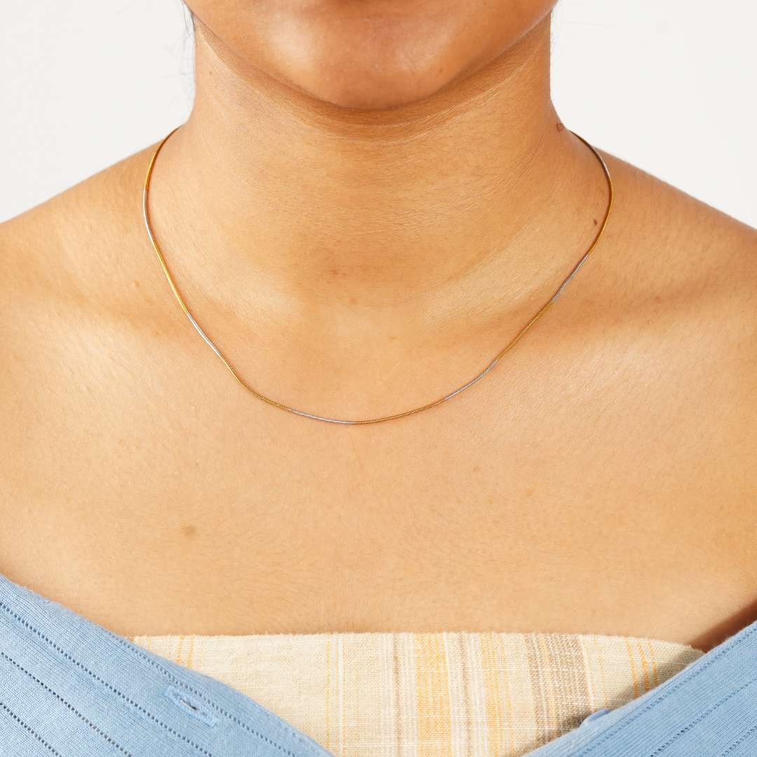 TWO-TONE SNAKE CHAIN